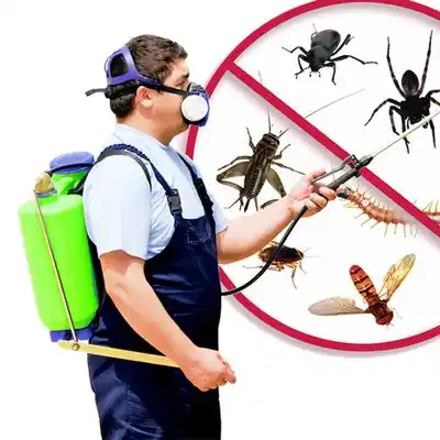 pest control Waynesboro